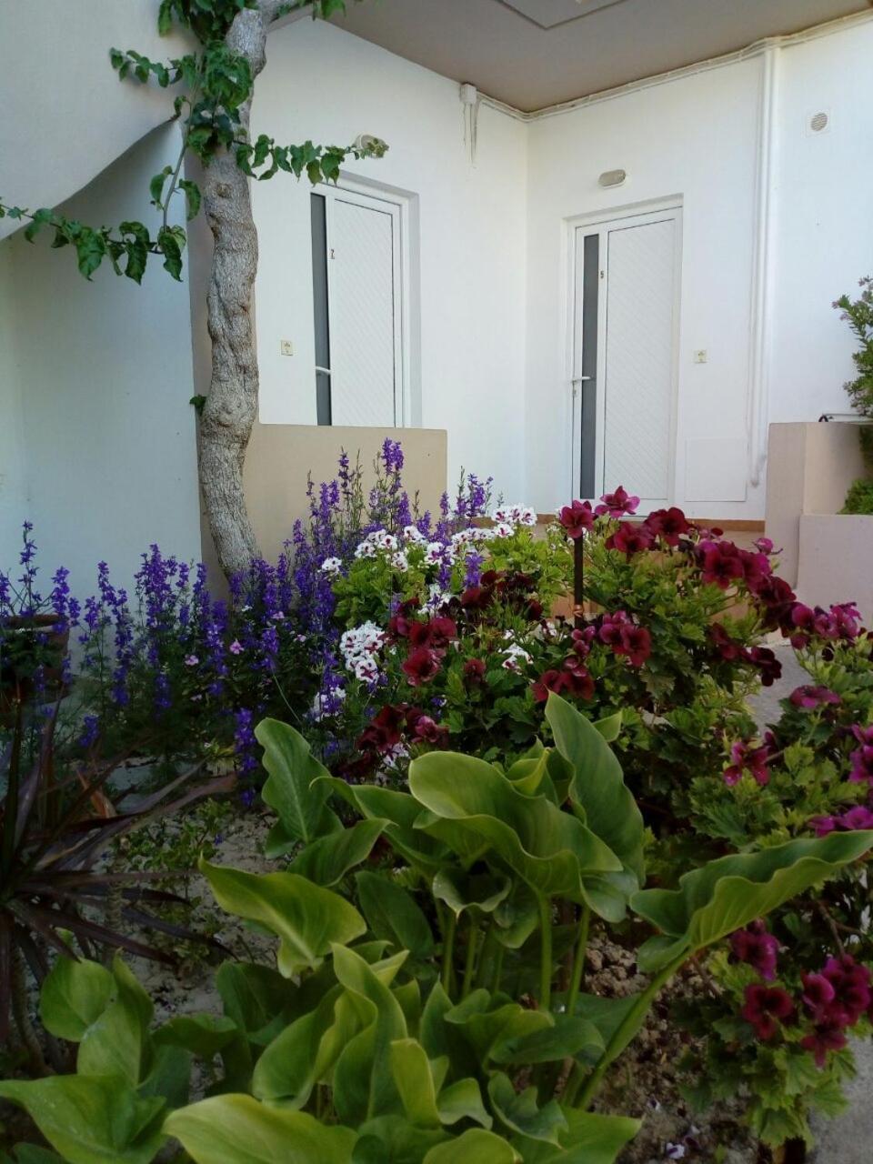 Yannis Apartments Amoudara Lasithiou Buitenkant foto